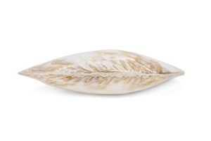 Školjka u paru Giant mussel pair