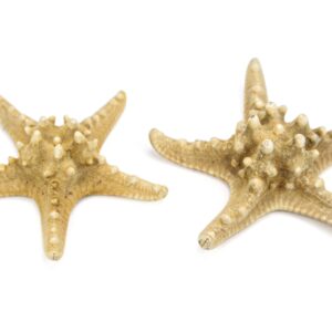Morska natural zvijezda 5