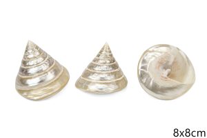 Sedefne školjke piramide Trochus pyramis