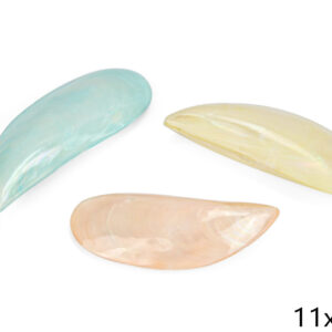 Polirane školjke u paru, raznih boja