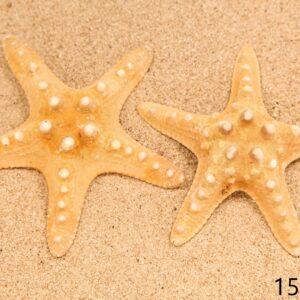 Morska natural zvijezda 5