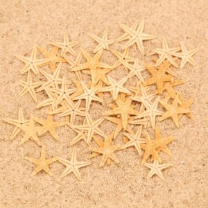 Morske natural zvijezde 0,5