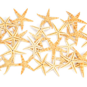 Morske natural zvijezde 2