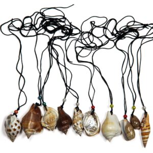 Ogrlice na crnoj špagi, razne školjke (SET 10 kom.)