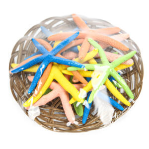 Morske zvijezde u raznim svijetlim bojama u košari, manje (SET 12 kom.)