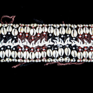 Narukvice sa četiri natural kauri školjkice i zubom morskog psa (SET 50 kom.)