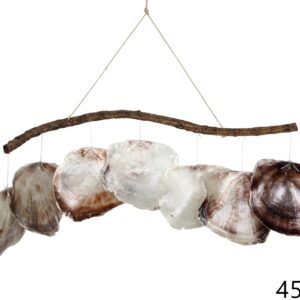 Visilica sedefne školjke na zakrivljenom drvu