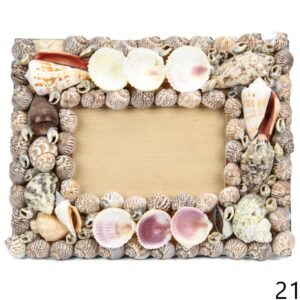 Drveni okvir s raznim većim i manjim školjkama i bijelim lepezama