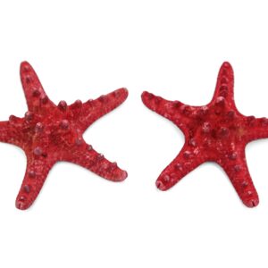 Morska crveno obojena zvijezda 5