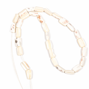 Repromaterijal valjci od polirane sedefne školjke