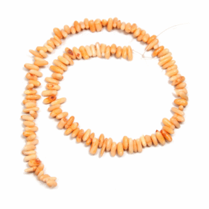 Repromaterijal duguljasti narančasti koralji