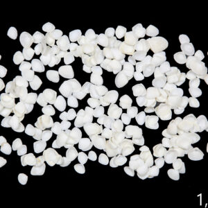 Male bijele lepeze White caycay (1 kg)