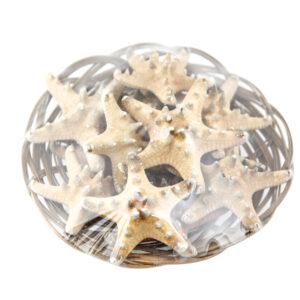 Natural morske zvijezde 3