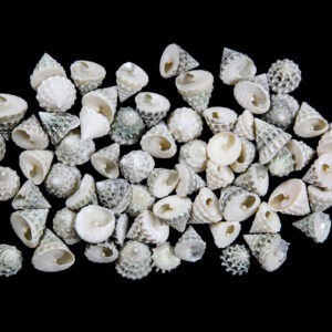Male zelene piramide, Mini troca (1 kg)