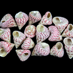 Crvene piramide Troca pink (1 kg)