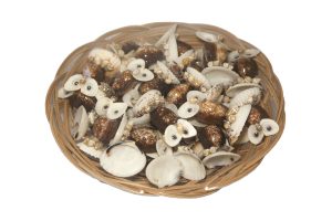Figure crnih sova od školjke Cypraea, s bijelim očima (SET 36 kom.)