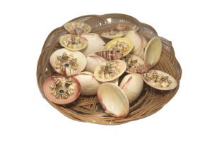 Figure sova s velikim očima, od školjki (SET 5 kom.)