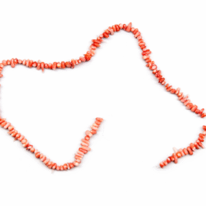 Repromaterijal duguljasti rozi koralji