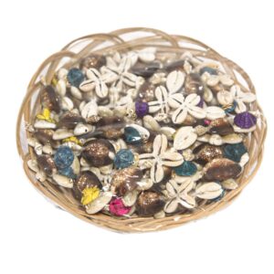 Figure kornjačica od školjki s raznobojnim šeširima (SET 50 kom.)