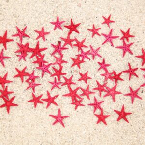 Morske crvene zvijezde 0,5