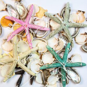 Visilica sa školjkama na zvijezdi, razne boje