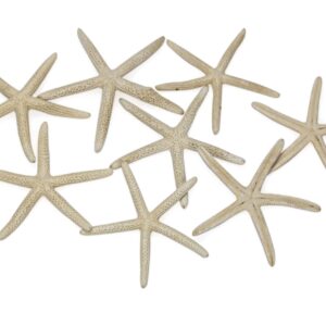 Morske izbijeljene zvijezde Finger 3