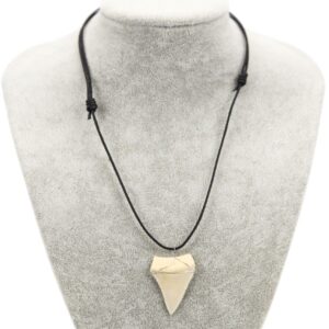 Ogrlice s velikim zubom morskog psa na konopu (SET 12 kom.)