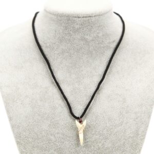 Ogrlice sa šiljastim manjim zubom morskog psa (SET 12 kom.)