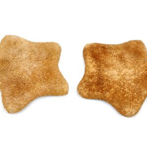 Narančasta morska zvijezda