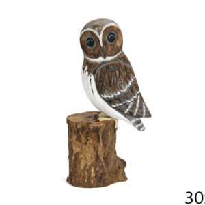 Bijelo-smeđa sova na deblu