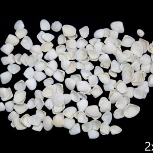 Bijele lepeze Cockle white (1 kg)